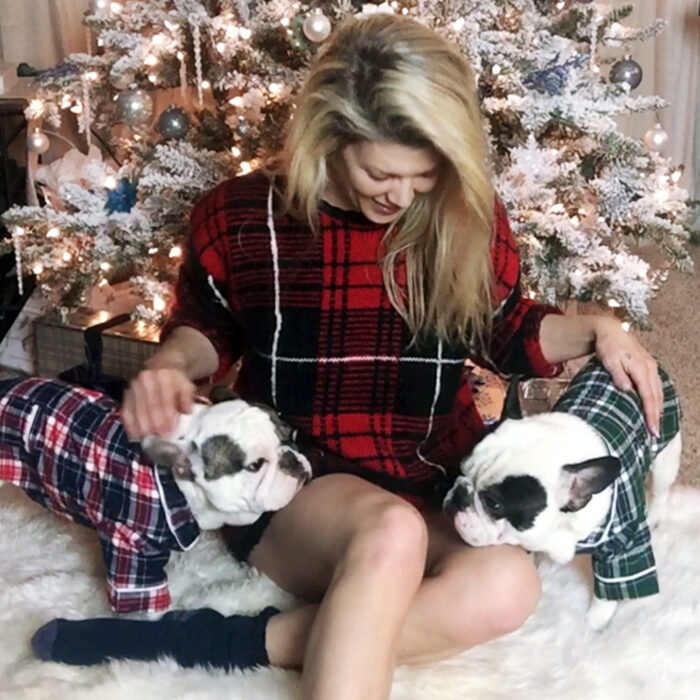 Christmas french bulldogs