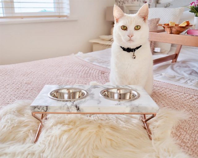 diy marble and copper pet feeding table dishes