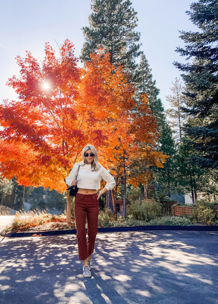 rust corduroy pants, white crop top, cropped sweatshirt, vans, checkered vans, orange leaves, fall trees, fall tree colors, fall colors