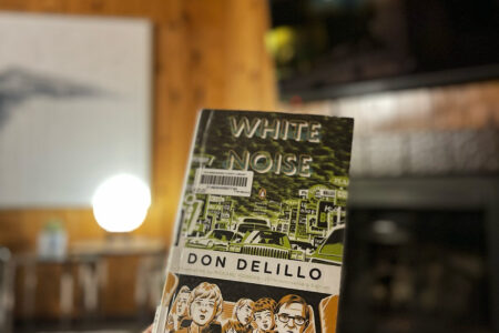 white noise book by don delillo 1985