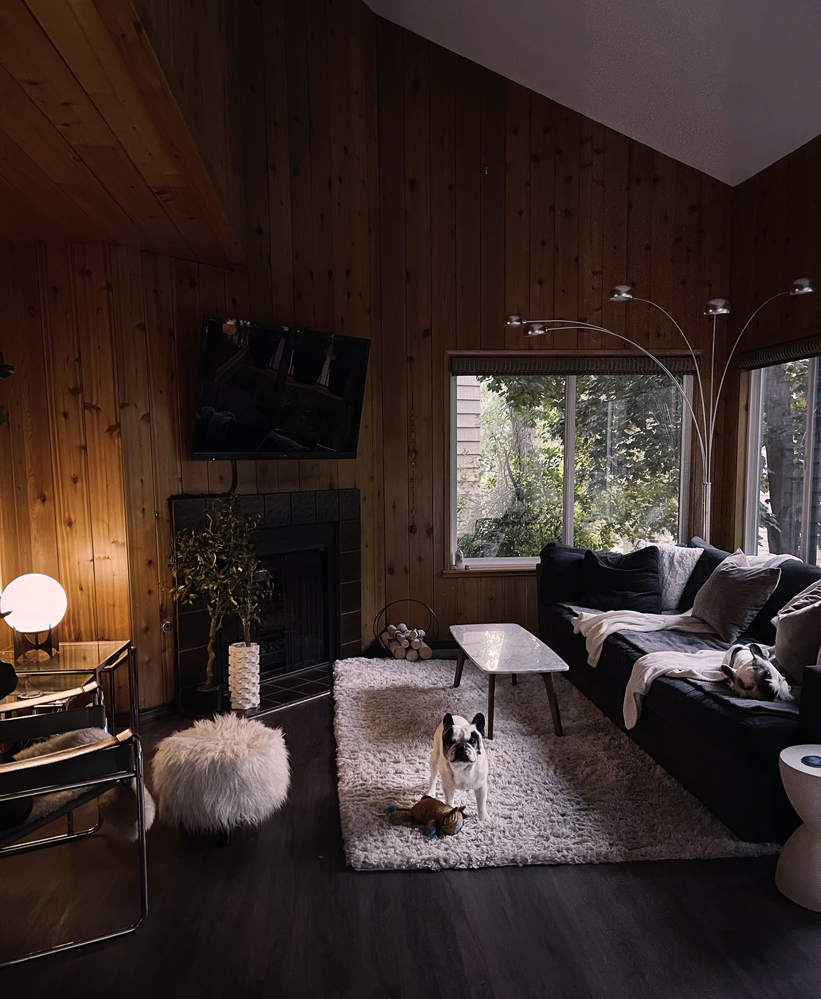 rustic contemporary lake townhouse living room with frenchies