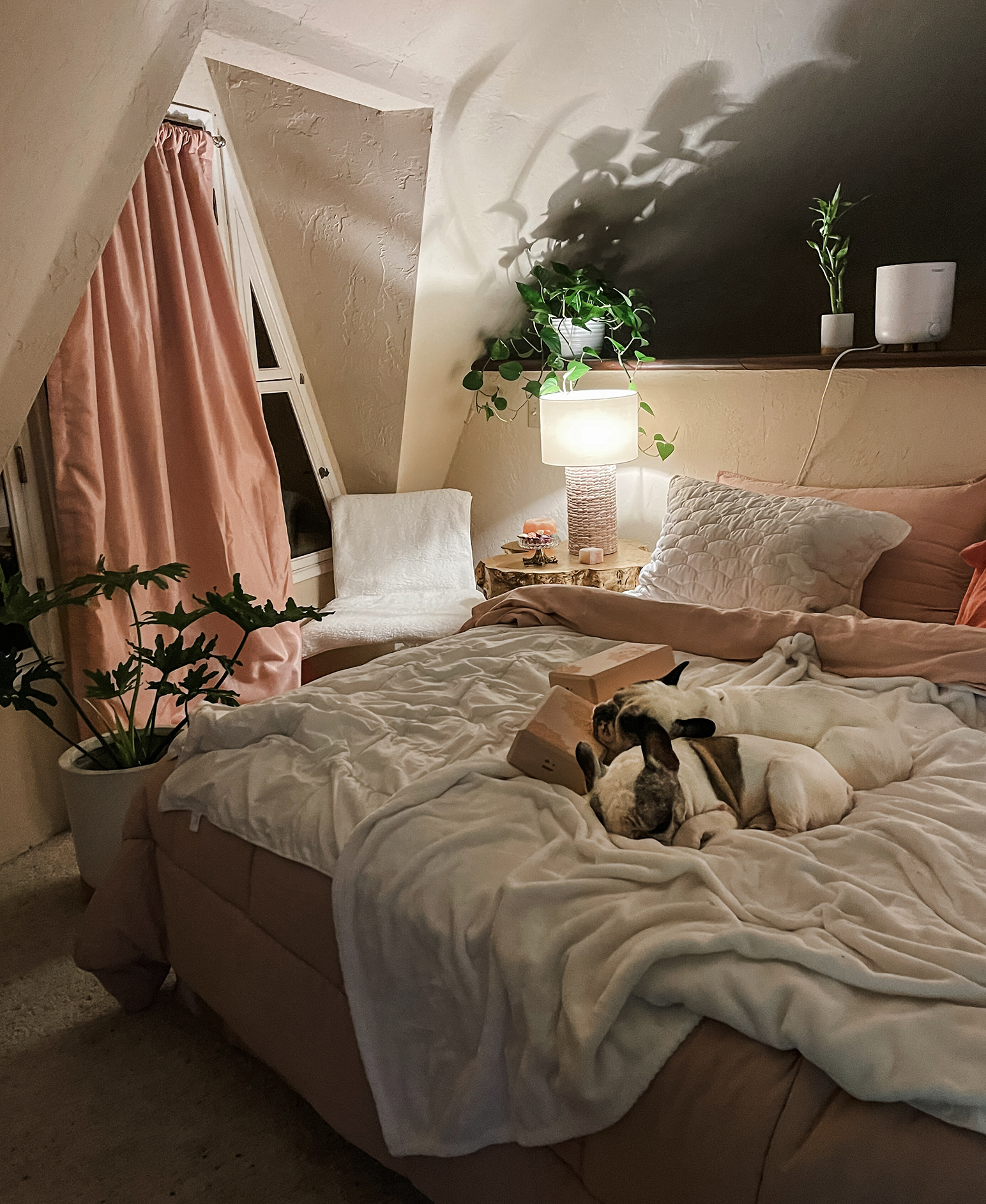 80s pink loft bedroom with plants