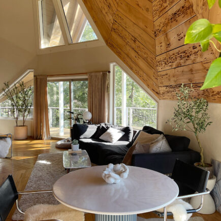 dome house in lake arrowhead-living room