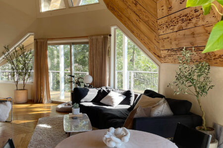 dome house in lake arrowhead-living room