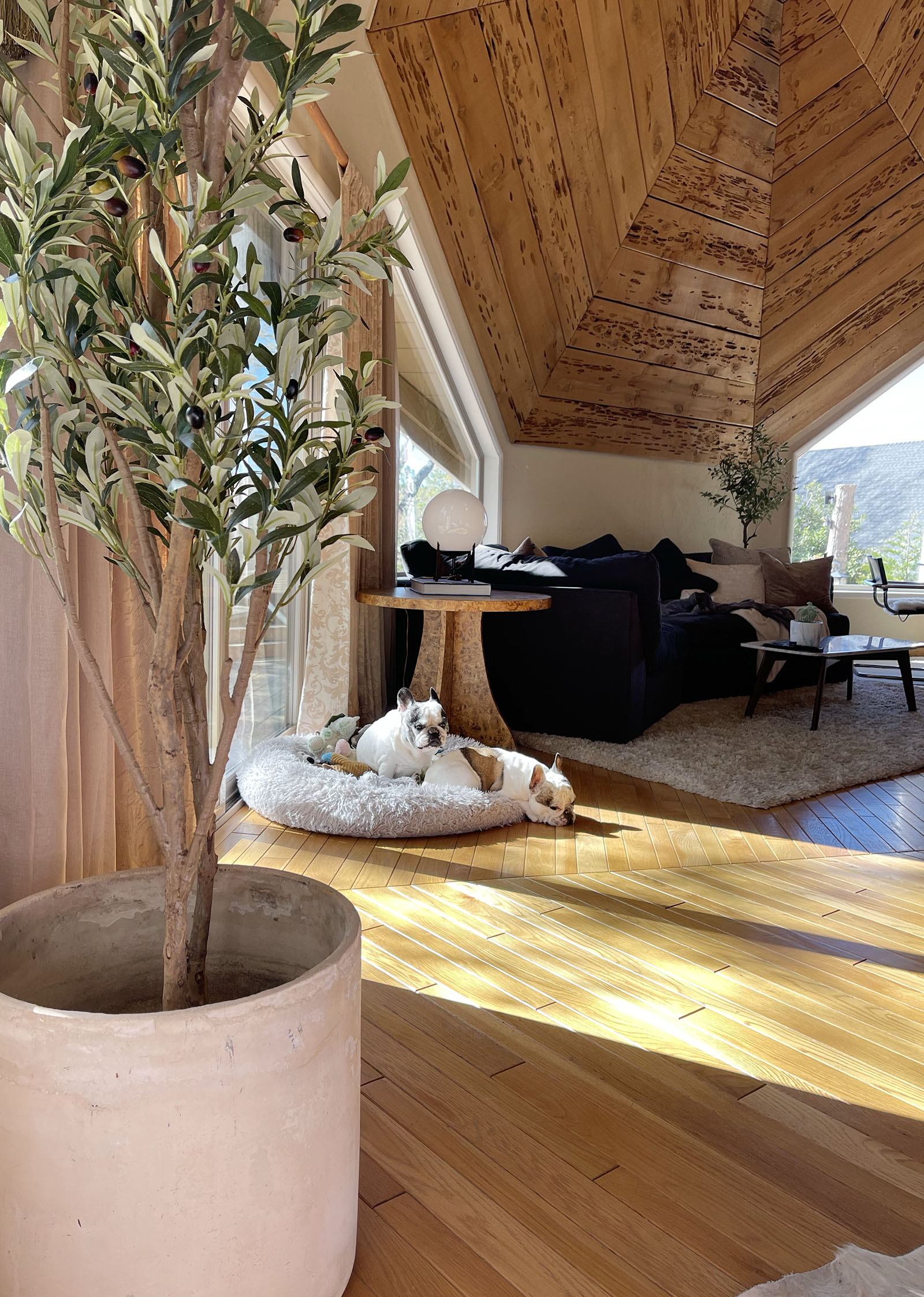 Geodesic Dome Homes, dome shaped house, dome house living room, minimal home decor, minimal living room in dome house, worm wood wall panelling, lake arrowhead houses