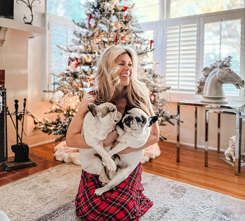 hero-merry-christmas-with-dogs-in-front-of-tree-2024-love-maegan