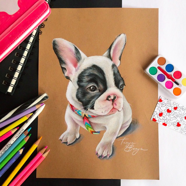 French bulldog art_tonya bonya