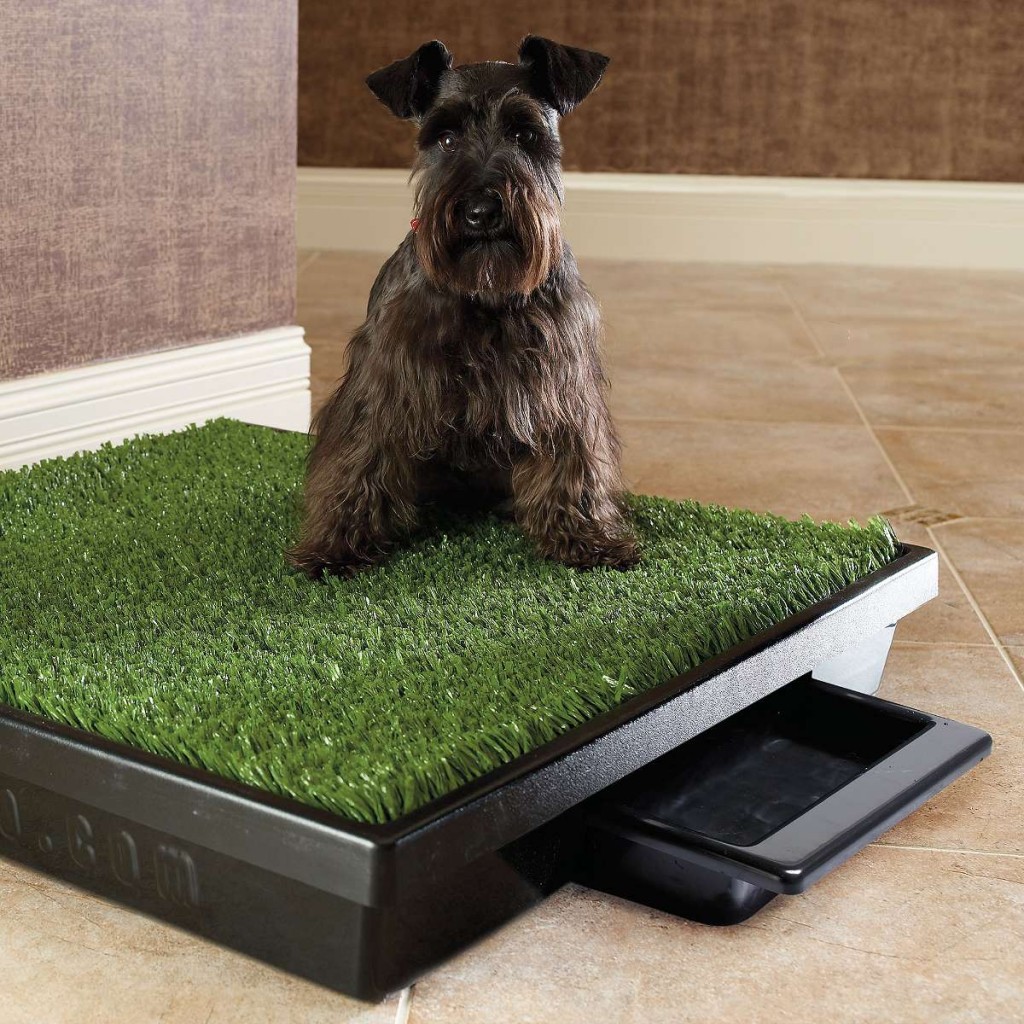 pet potty