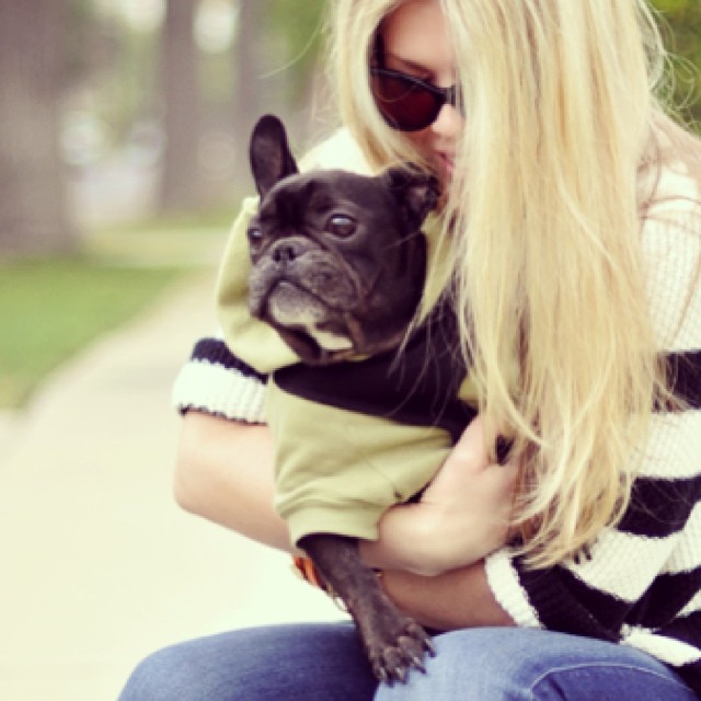 black frenchie ~ LeRoy