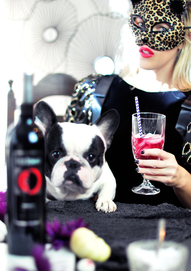 halloween table_leopard mask _ french bulldog_merlot winetail