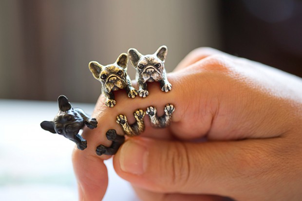 French bulldog rings