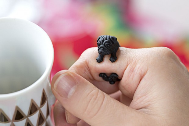 Pug Rings