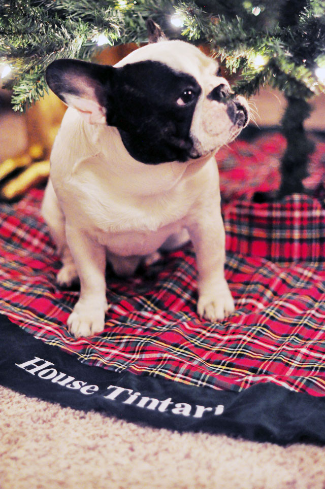 personalized tree skirt