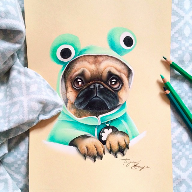 pug art_Tanya Bonya