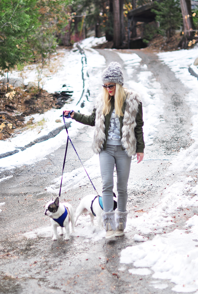 winter-style-in-the-snow_french-bulldogs